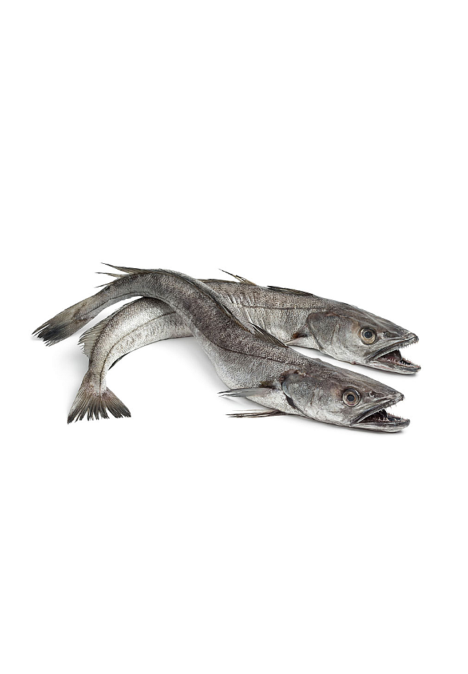 Kühlware Hake frozen 1kg