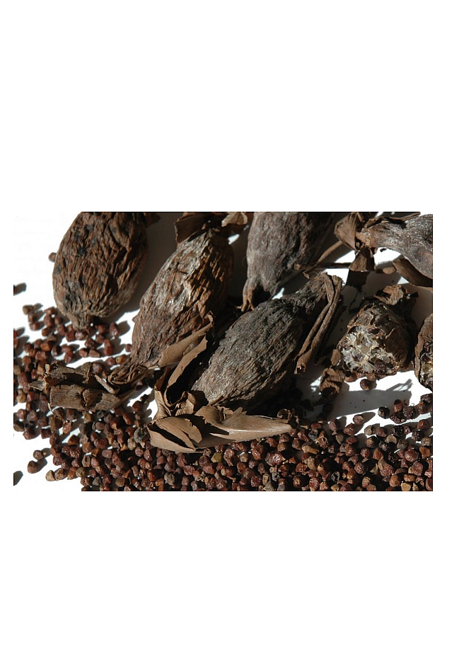 Traditional Food Africa Efom Wisa Aligator Pepper red 30g