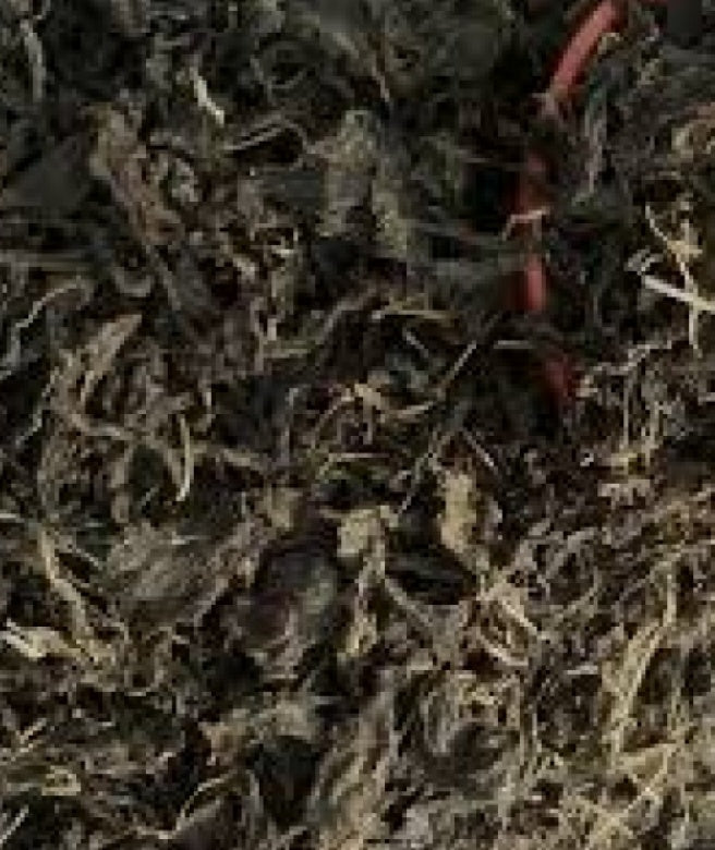 Traditional Food Africa Ugwu Leaves Dry 100g